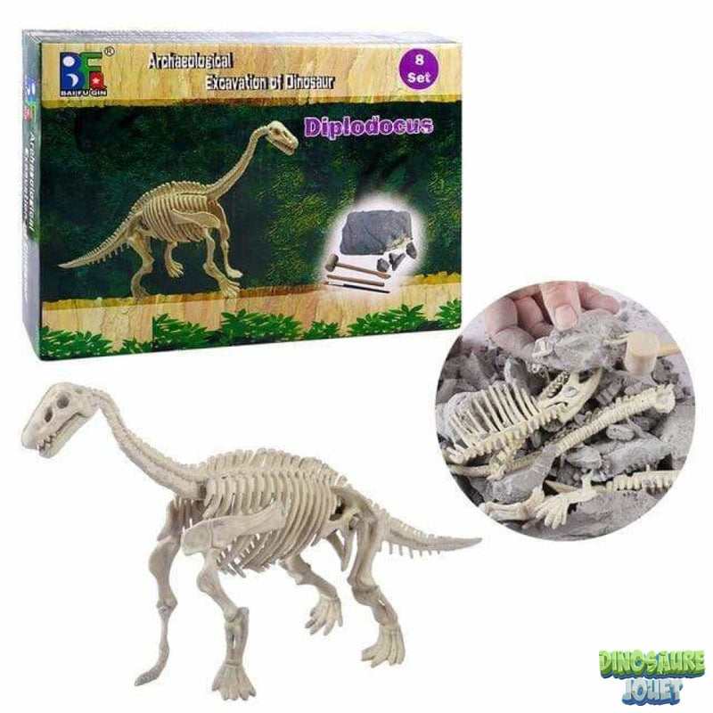 Squelette de Diplodocus à déterrer