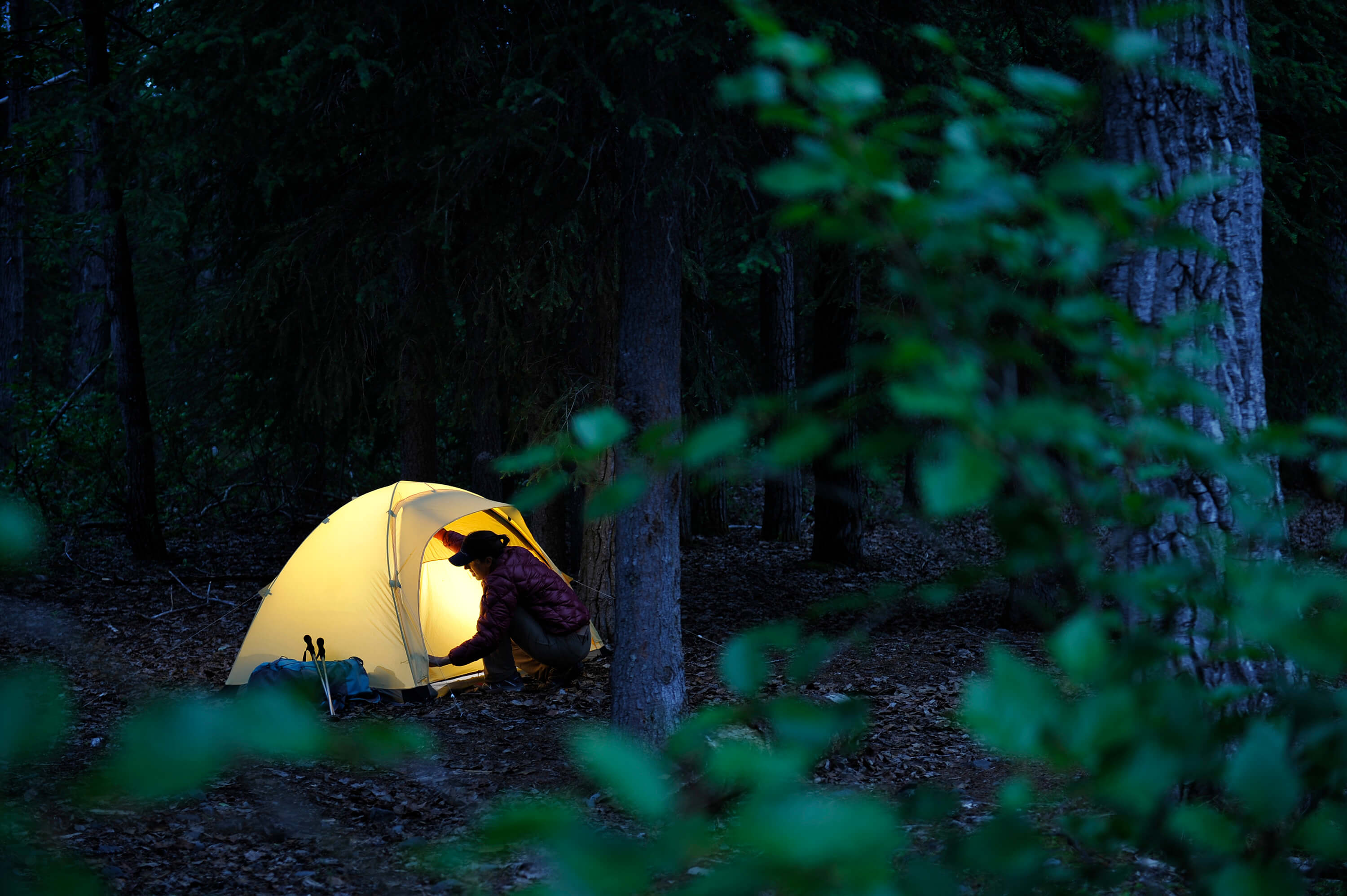 Glacier Ranger District of Chugach National Forest