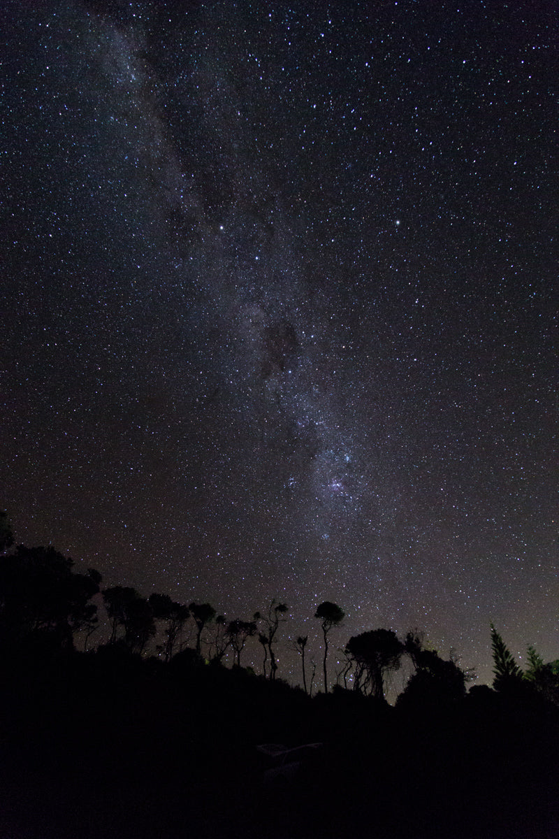 How to Photography Stars at Night | Seal Rocks, Australia