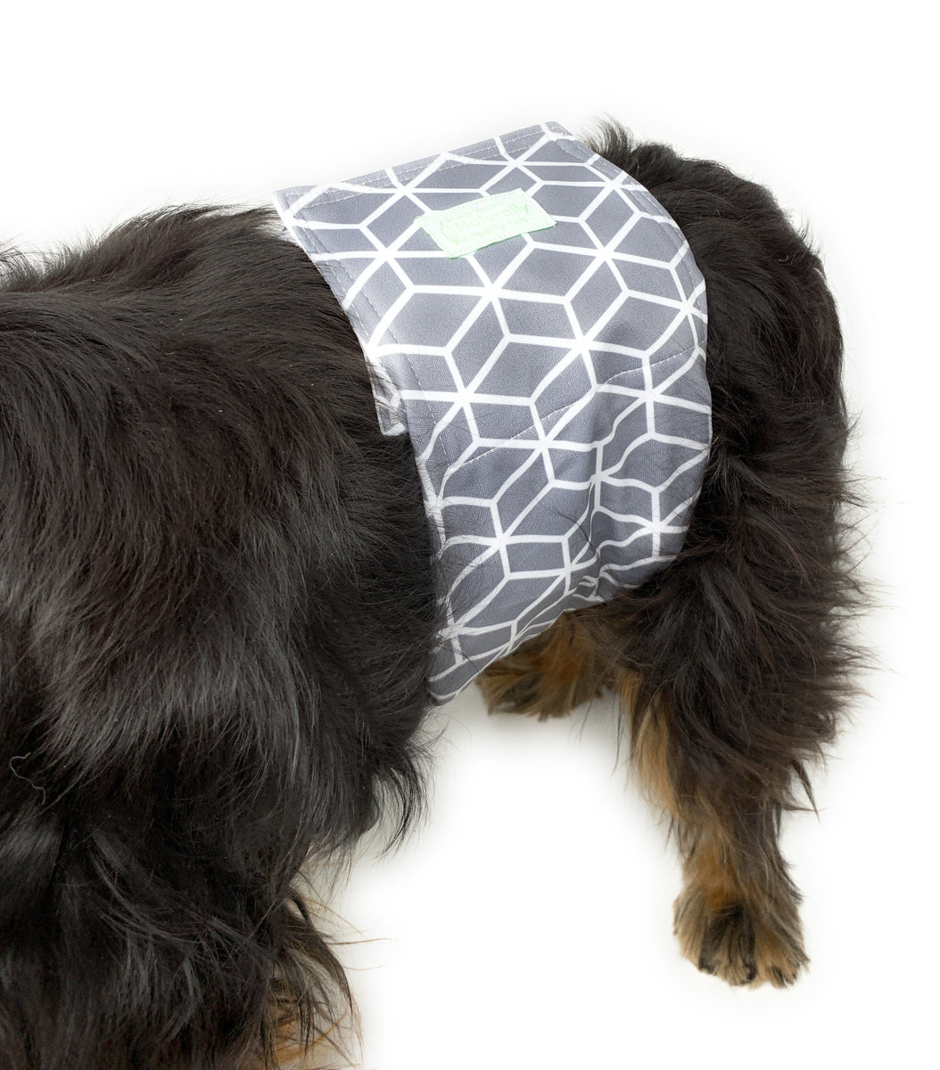 Dr Judy Morgans Naturally Healthy Pets Washable Reusable Dog Diapers 