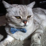 Wool & Water Pet Bow Tie