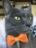 Orange Marl Cat Bow Tie