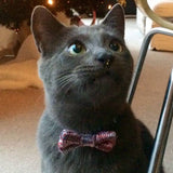 Wool & Water Pet Bow Tie