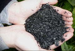 Black Owl Biochar - In Good Hands