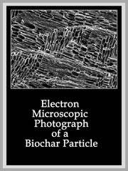 Electron Microscopic Photograph of Biochar Particle