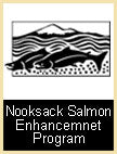Nooksack Salmon Enhancement Program