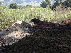 Composting with Biochar
