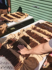 Vanilla beans curing in the sun