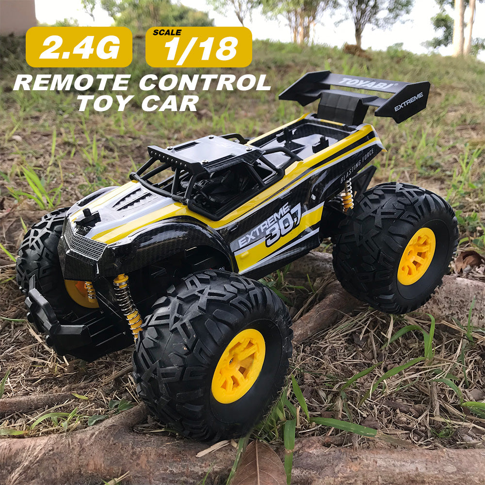 big remote control toys