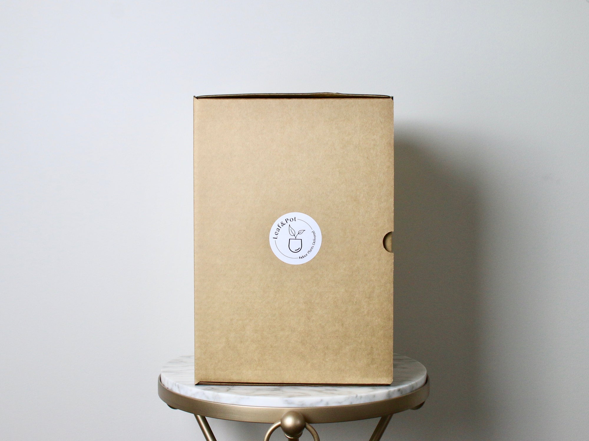 Postal Delivery