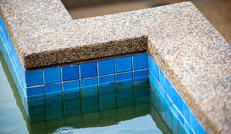 how-to-clean-algae-from-swimming-pool-tile-grout-discovermystore