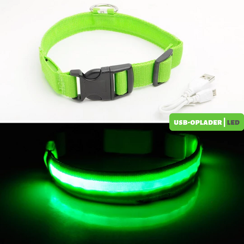 Winderig Integratie morgen Dewel® Oplaadbare LED-band | Lichtgevende halsband – Hondenmagazijn