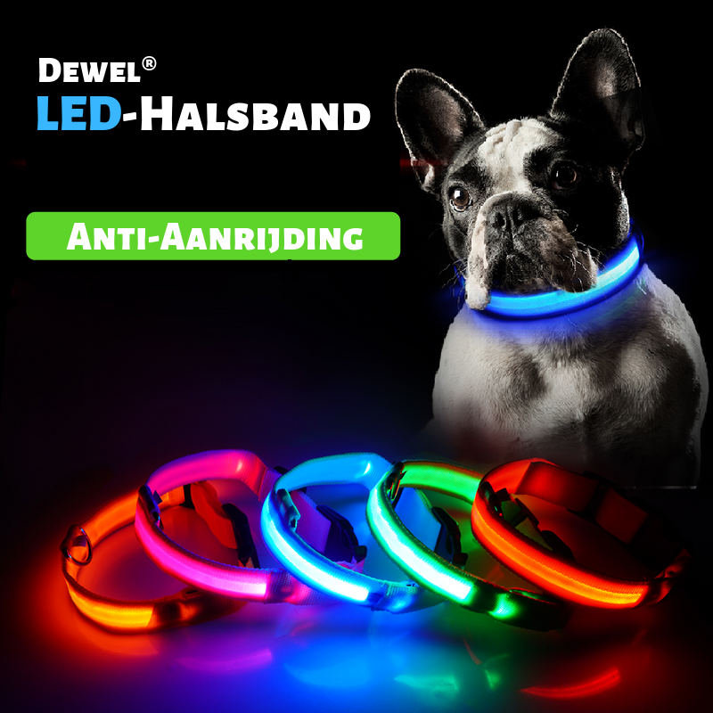 Dewel® Oplaadbare LED-band | Lichtgevende halsband –