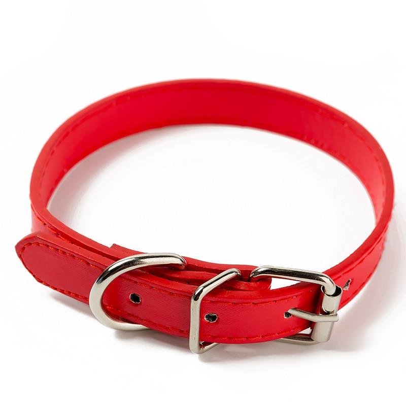 reputatie gangpad druk Joa® Harness | Hondenhalsband | Halsband hond – Hondenmagazijn