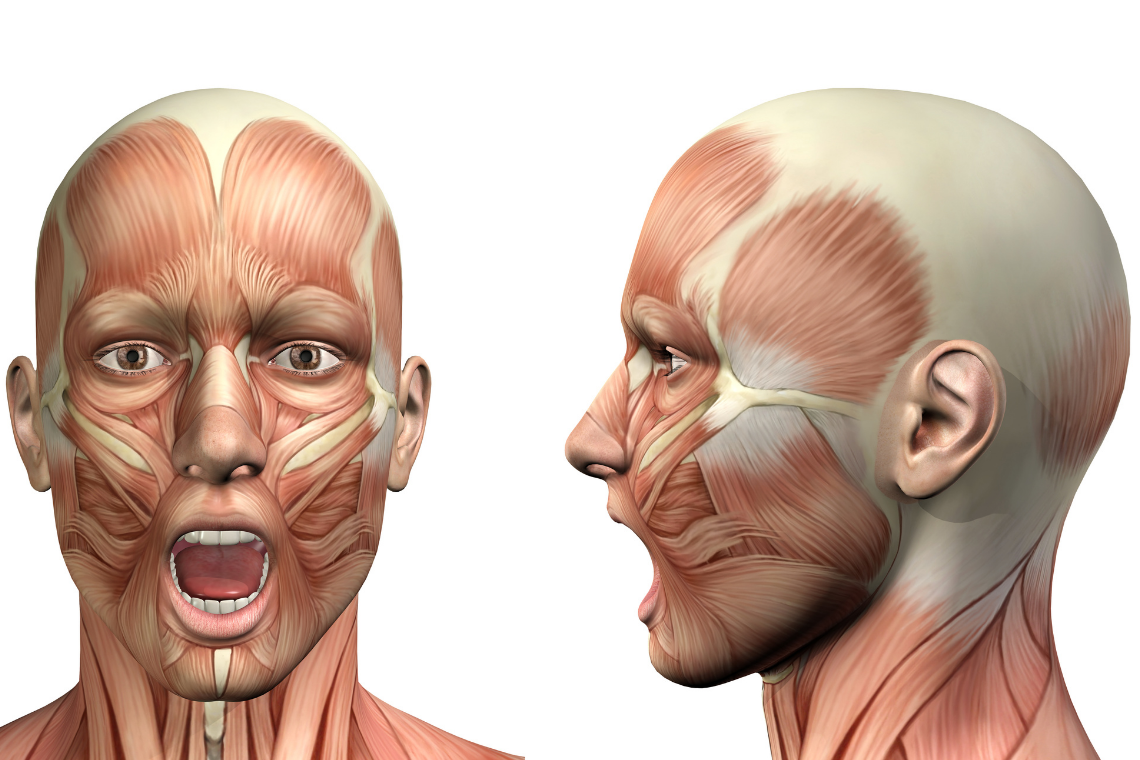 TMJ Exercises For Pain Relief