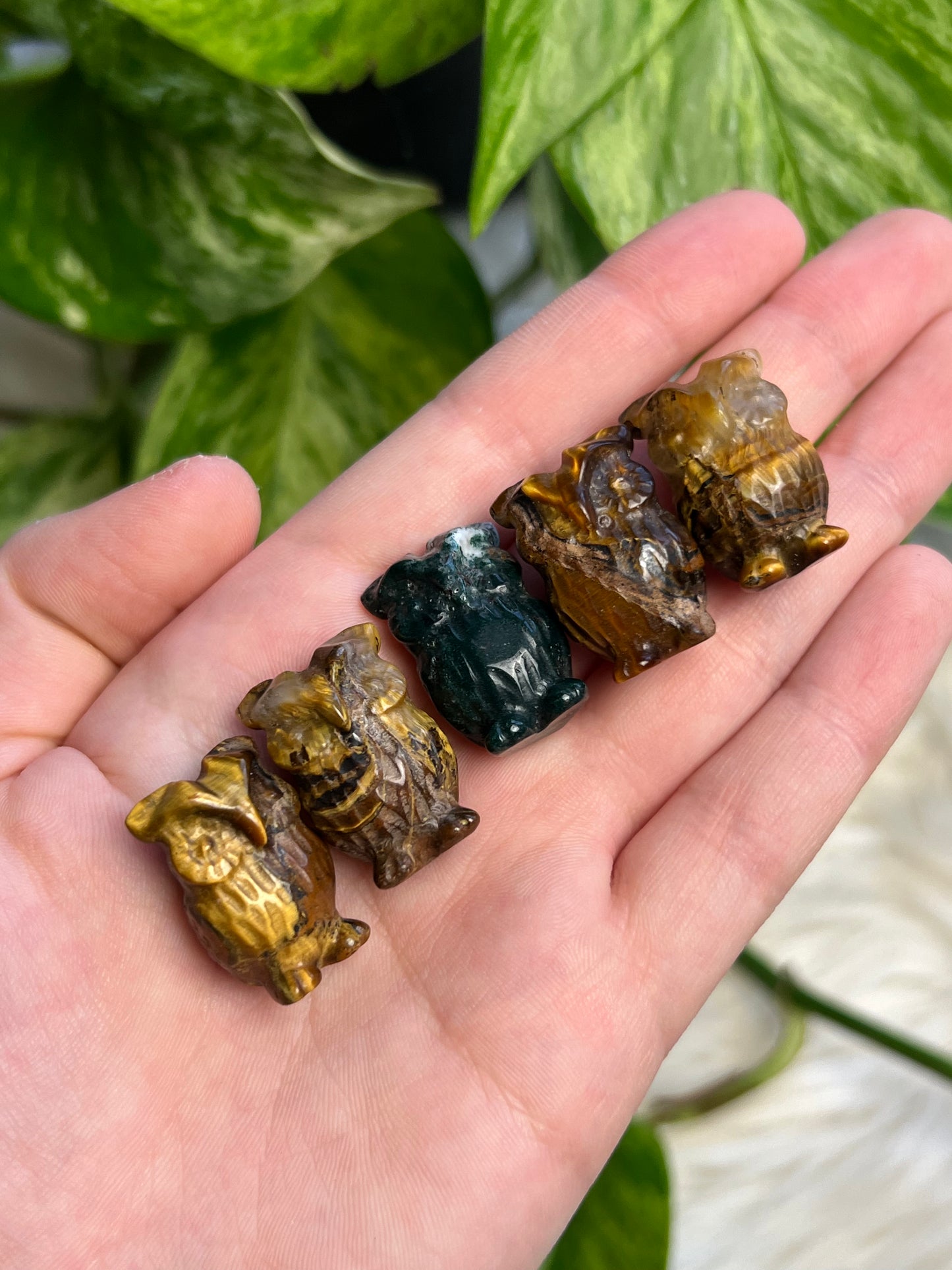 Mini Owls