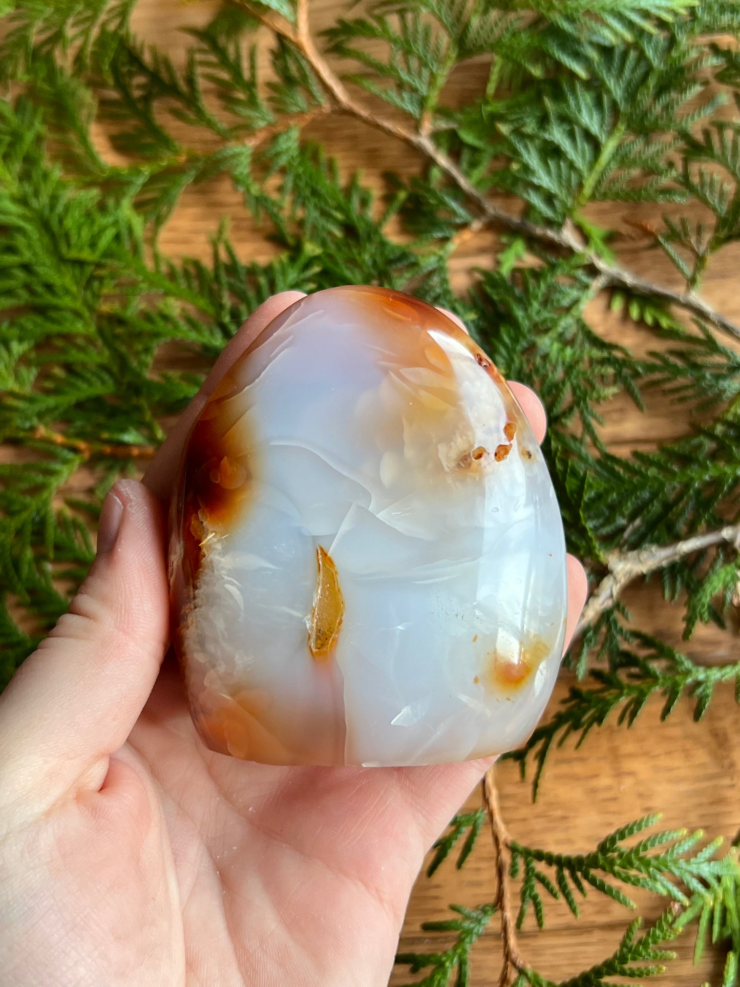 Carnelian Freeform