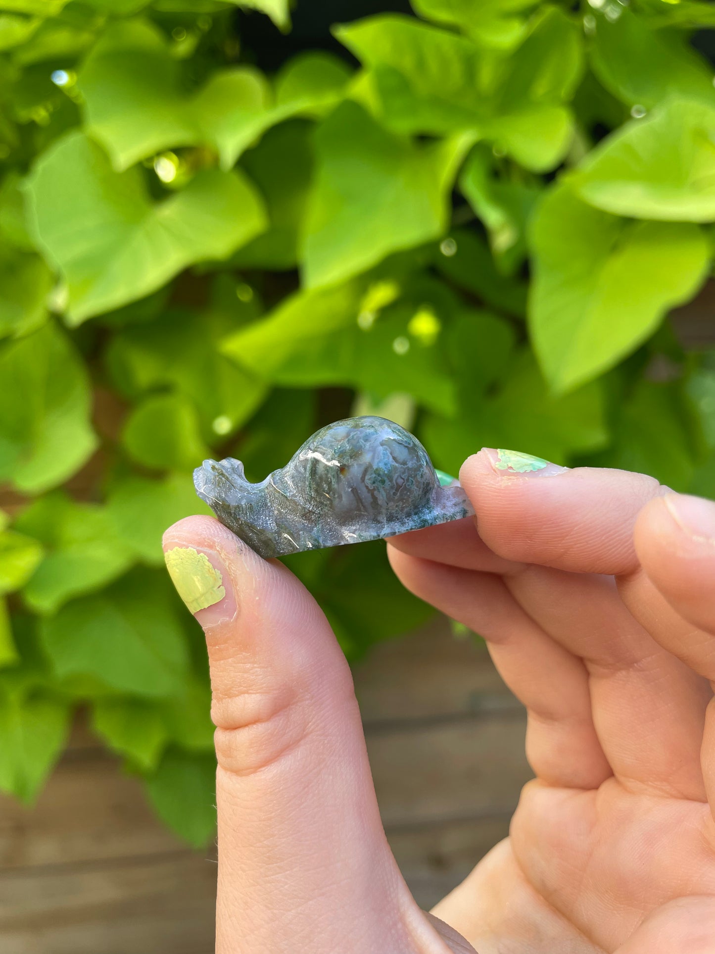 Mini Snails