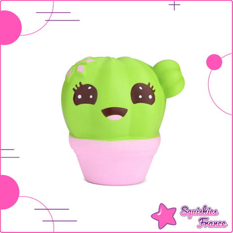 squishy cactus kawaii