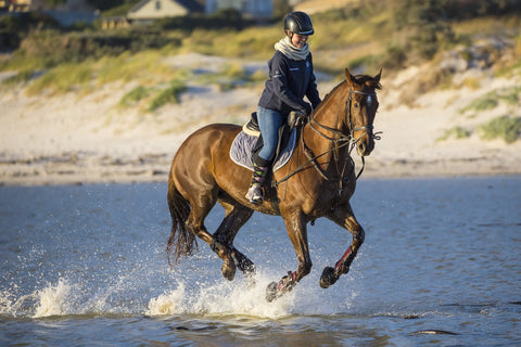 Citations Chevaux