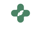 Logo Ananda Professional