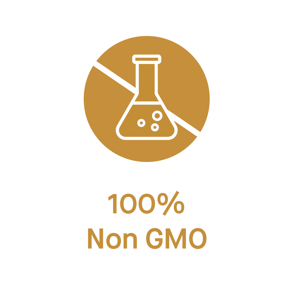 Non-GMO Icon