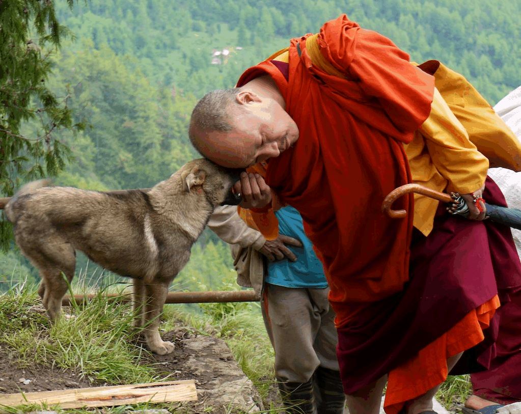 Moine Bouddhiste et chien