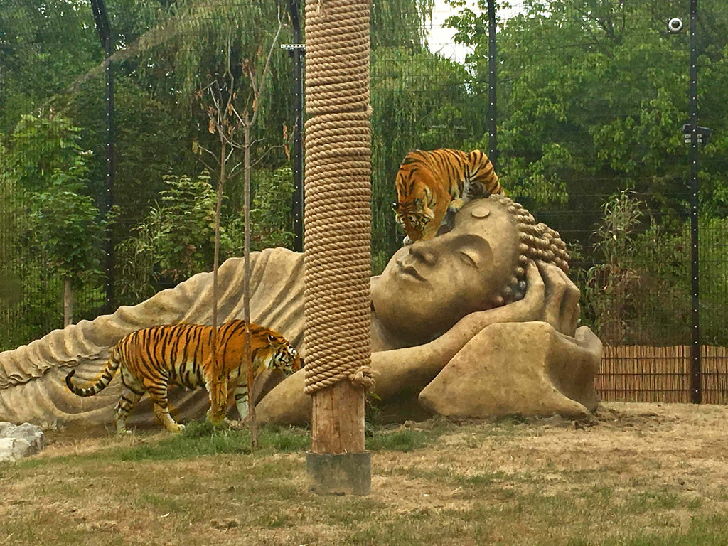 Tigre sur une statue bouddha