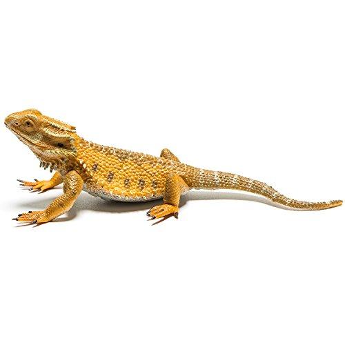 bearded dragon figure