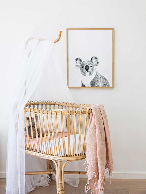 koala baby bassinet