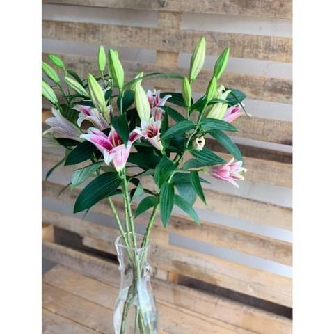 Upscale & Posh Tall Lilies Bouquet