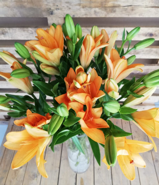 Flowers Subscription 28th July 2019