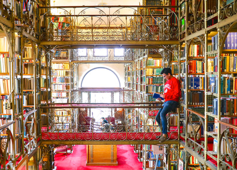 Student reading a book in a library at Cornell University