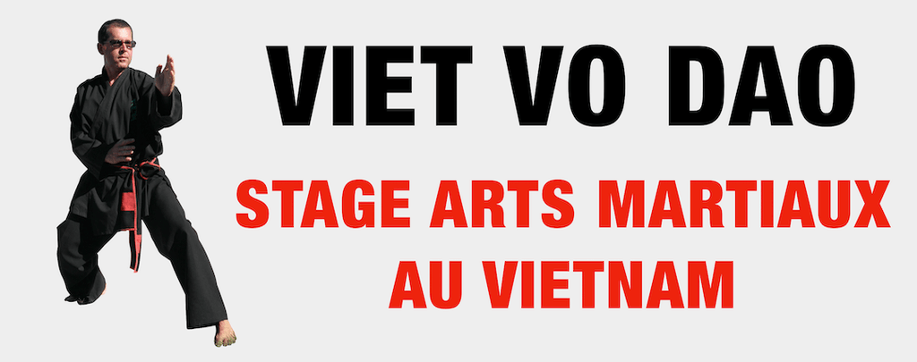 
    Stage Arts Martiaux 2022 – VMA Self Défense Online
  