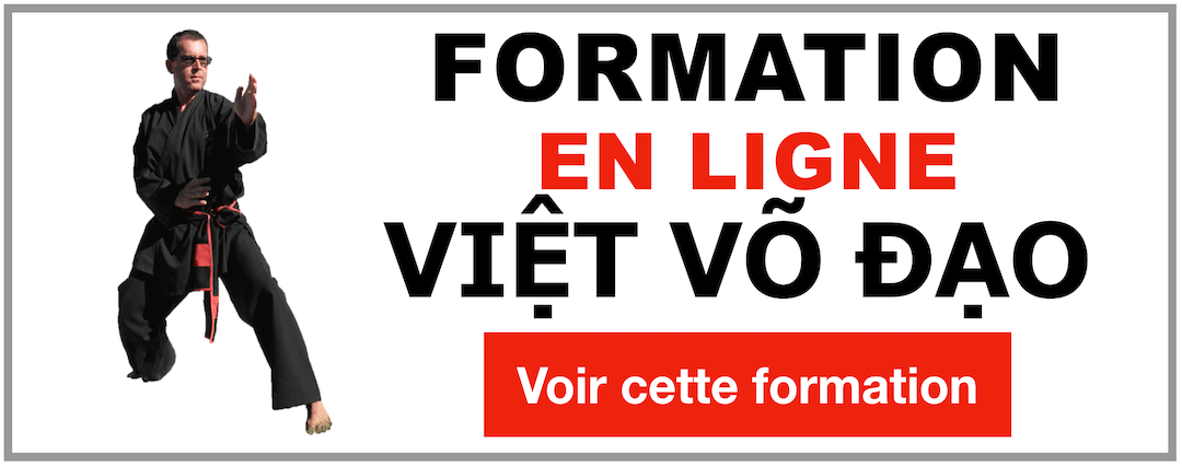 Cours de Viet Vo Dao origine Thanh Long : Apprendre des fondements techniques, des leçons, des quyens à mains nues et avec armes, des applications martiales et de leurs applications dans la réalité de la rue en Self Défense