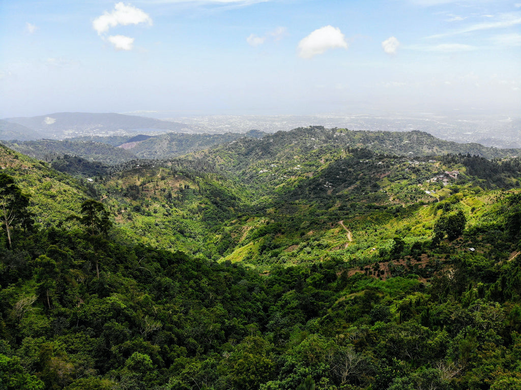 Blue Mountains of Jamaica, Lots of green trees and medium sized mountains all the way to the horizon