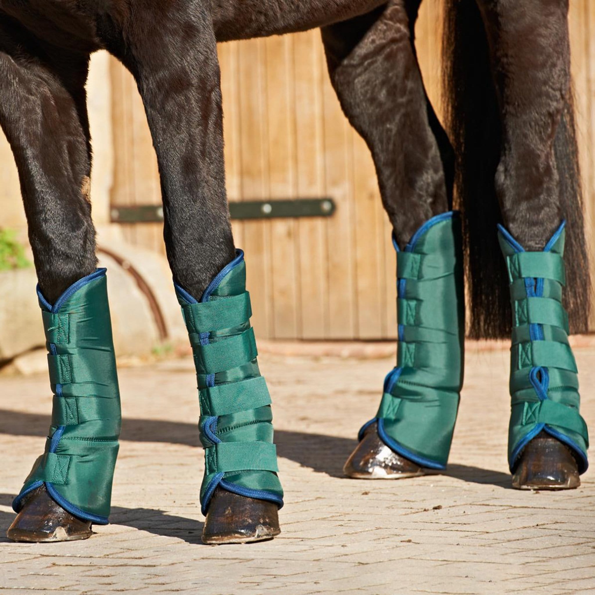 horse travel boots