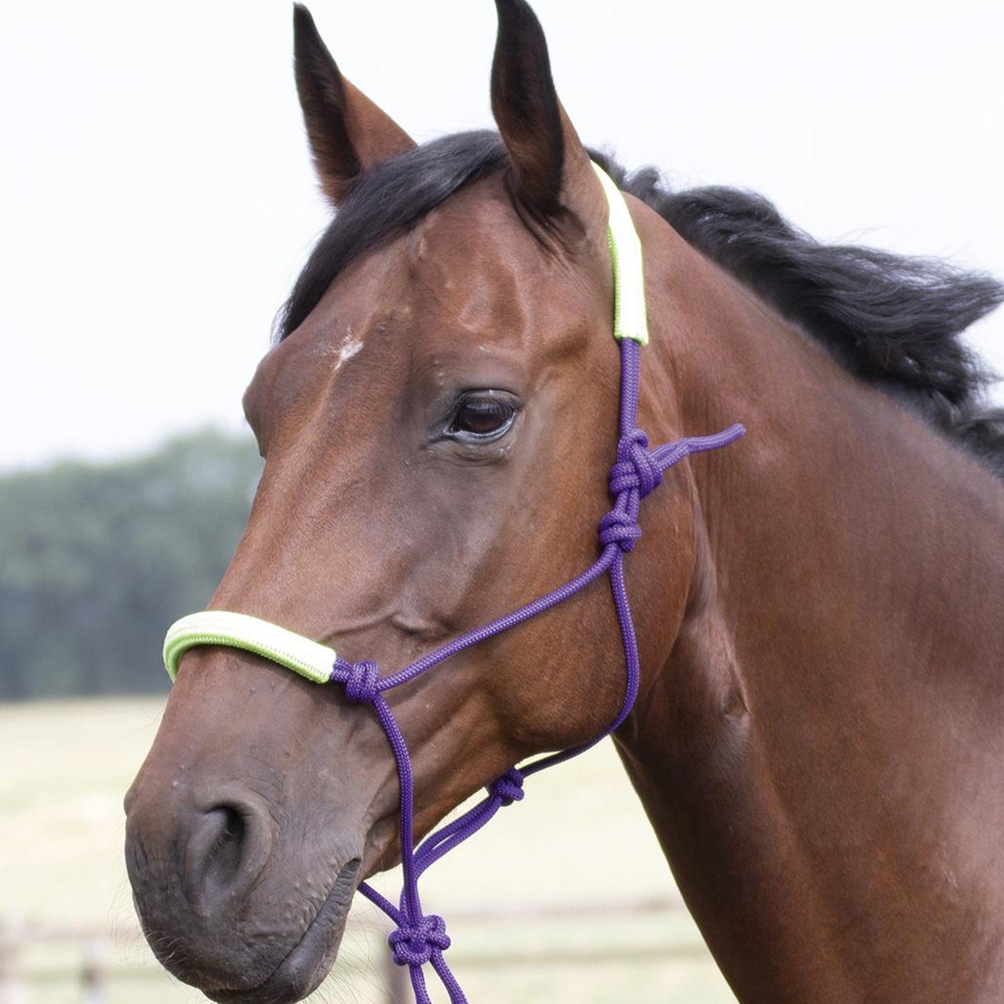 Horse Pressure Headcollar Natrual Horsemanship Two-Tone Rope Training Halter
