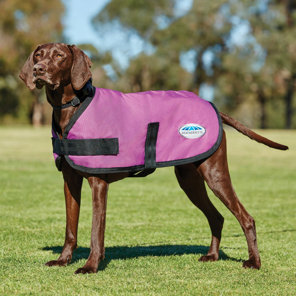 weatherbeeta-comfitec-classic-parka-600d-dog-coat-equus