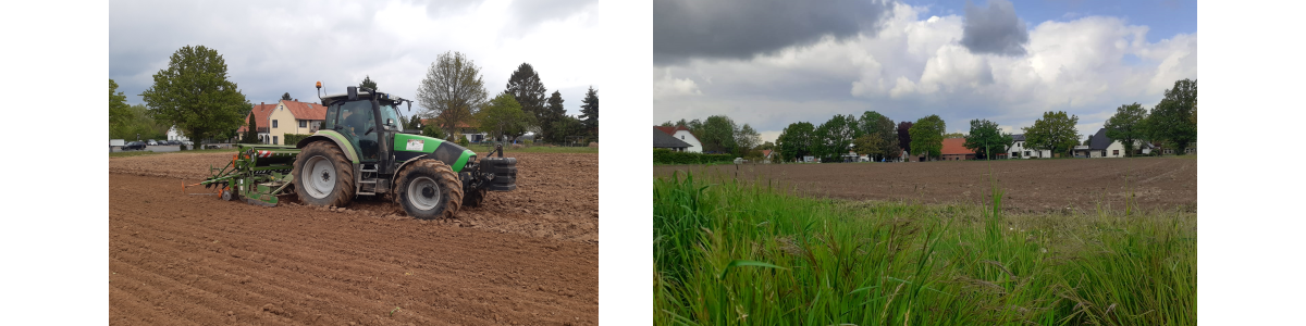 Blühwiese Einsaat Acker Trecker