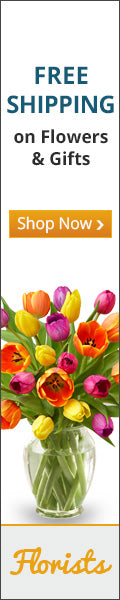 Florists.com - Free Shipping on Flowers and Gifts