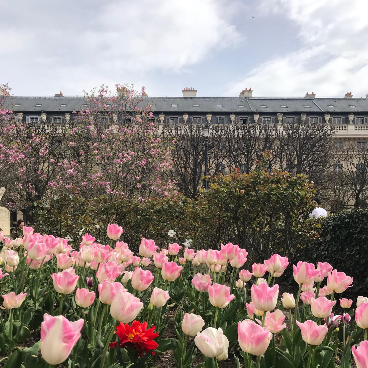 Palais Royal Gardens, Paris France 2018