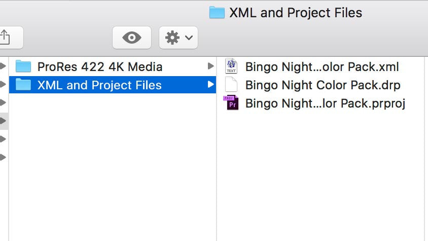 Project Files