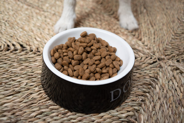 Bowl of dog food