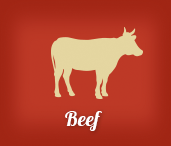 BBQ Beef Recipes
