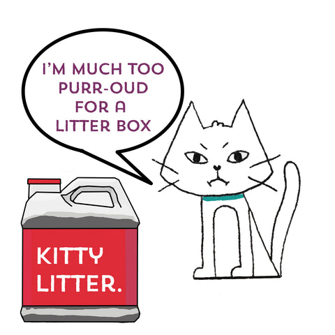 cat body language with kitty litter