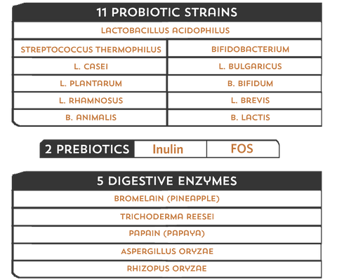 List of probiotics prebiotics and digestive enzymes in Good Guts