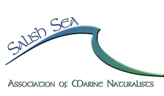 SSAMN Logo