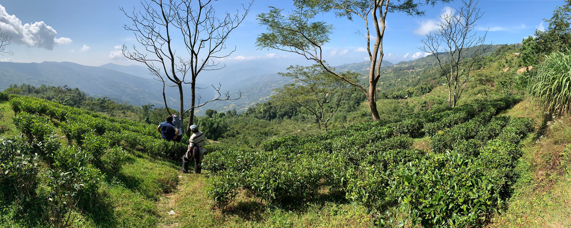 The sweeping vistas of Nepal, as seen from Jun Chiyabari