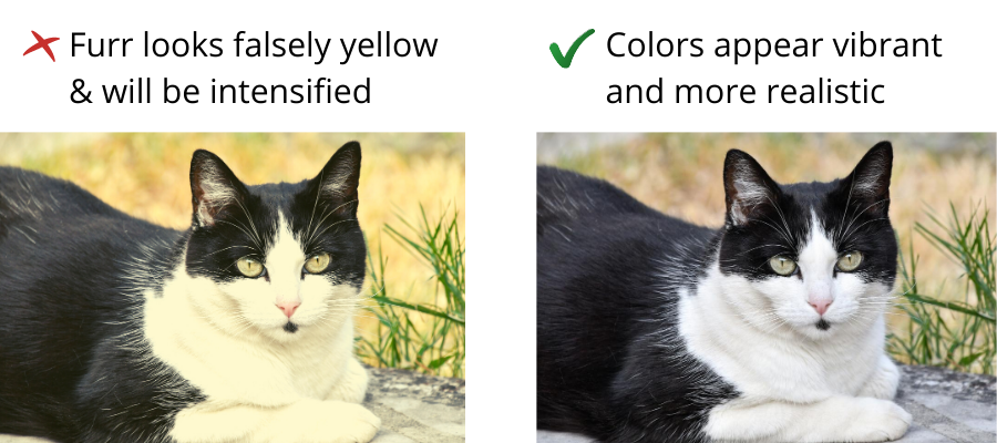 choose images with clear color